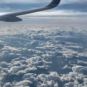 Meet your Posher, Rayne